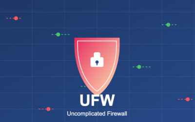 UFW for Beginners: Firewall Security Without the Complexity